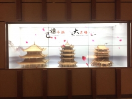 園博園透明拼接屏